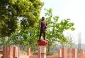 Statue of Bhanubhakta Acharya at Chundi Ramgha