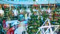 Christmas and New Year Decoration in Citywalk