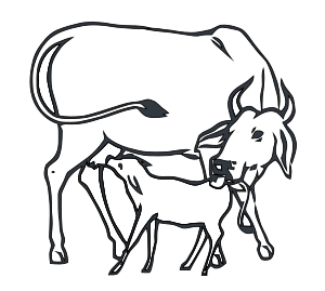 Approved symbol of Indira Gandhi Congress