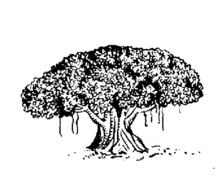 File:Indian Election Symbol Tree.png