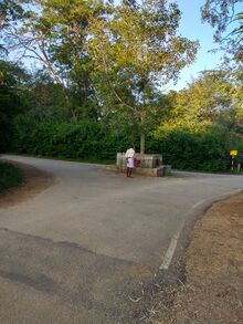 File:Rishi Valley bus stop.jpg