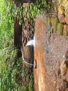 Spring at Curra, Raia