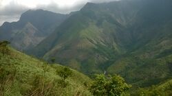 Kurangani hills.jpg