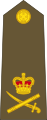 Lieutenant-general[38] (New Zealand Army)