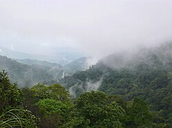 Brahmagiri wildlife sanctuary.jpg