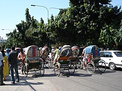 Cycle rickshaws in Dhaka, Bangladesh