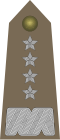 Generał (Polish Army)