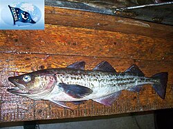 State Fish of the Norwegian Kingdom