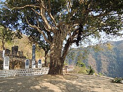 Sahlam