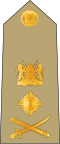 General (Kenya Army)