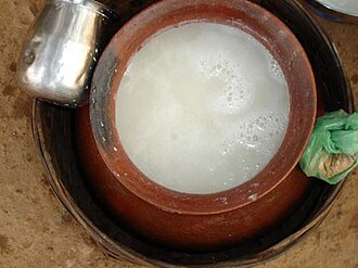 Bastar beer prepared from Sulfi