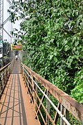 Hanging Bridge to Pullippadam