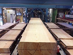 100 mm (4 inch) thick pine timber sawn in sawmill, Sweden
