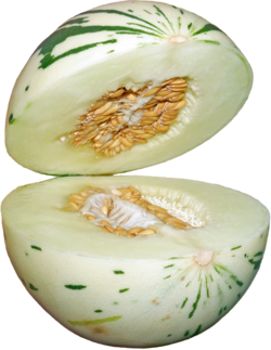 Fruit of Caucasus State