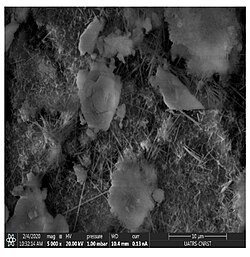 Scanning electron microscopy of mortar glass powder (10%) which seems to have fibre-like structure[187]