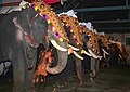 Caparisoned elephants during Sree Poornathrayesa temple festival, Thrippunithura.