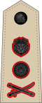 General (Malawian Army)