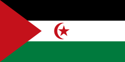 State Flag of the Western Sahara (Territory)