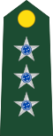 Brazilian Army (Capitão)
