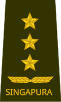 Lieutenant general[45] (Singapore Army)