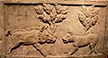 Roman relief of a dog confronting a boar, Cologne