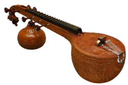 Veena