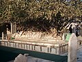 Tomb of Jāmi, a poet of the 15th century