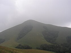 Brahmagiri.JPG