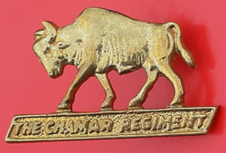 CHAMAR REGIMENT BADGE.png