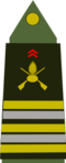 French Army (Lieutenant Colonel)