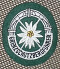 German Federal Police rank insignia patch.