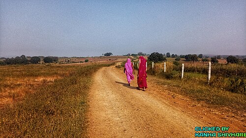 Village Street of mehta in seoni district