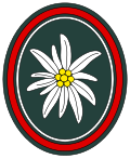 West/German military 23rd mountain rifles troops emblem.
