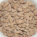 White cardamom pods in a bowl