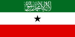 Flag of Somaliland with the Shahada written on it