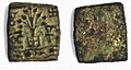 Eran Vidisha coin.