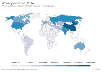 Annual agricultural production of wheat, measured in tonnes in 2014.[128]