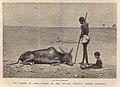 Great Famine of 1876–78 in Bellary.