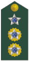 Brazilian Army (Tenente Coronel)
