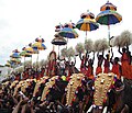 Kuda Mattam during Thrissur pooram festival.
