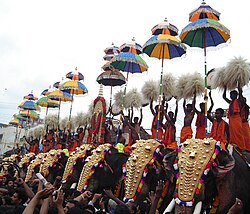 Thrissur Pooram festival