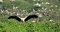 Birds at the sanctuary