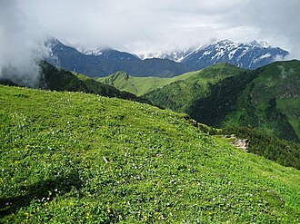 View of a Bugyal (meadow) in Uttarakhand