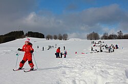 State Sport of the Norwegian Kingdom