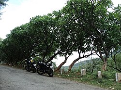Ride to Muthati