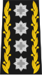 Four-"Star" rank insignia of the top Swiss general.