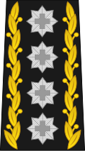 General (Swiss Land Forces)