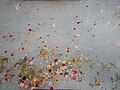 Flowers in the holy spring