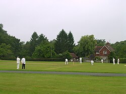 An image of a club cricket game