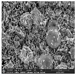 Scanning electron microscopy of cement[187]